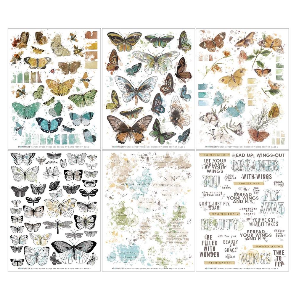 49 And Market Nature Study Rub-Ons 6"X8" 6/Sheets