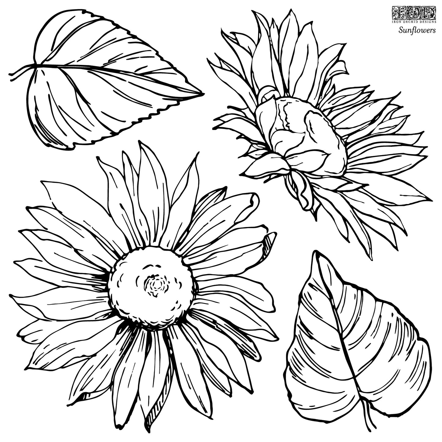 Sunflowers - 12x12 IOD Stamp - Iron Orchid Designs - 2 Sheets 12x12 Stamp Sets with Mask