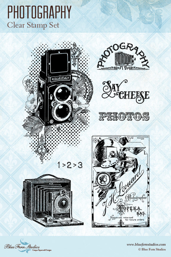 Blue Fern Stamp - Photography *