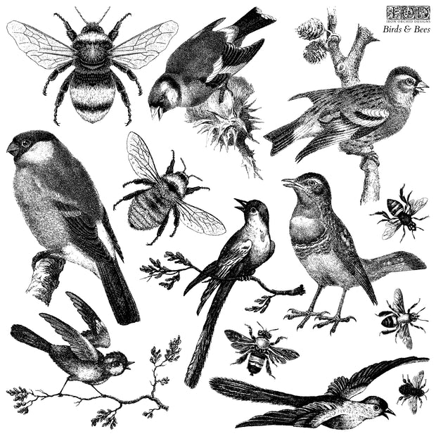 NEW! Iron Orchid  Décor Stamp Set - 12x12 - Birds & Bees