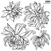 Iron Orchid  Décor Stamp Set - 12x12 - Chrysanthemum