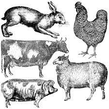 Iron Orchid Decor Stamp Set - 12x12 - Farm Animals