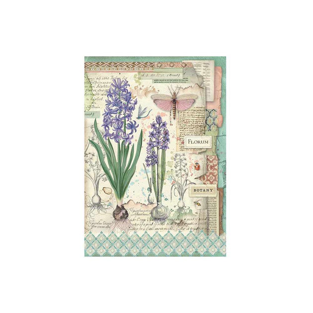 Stamperia Botanical Rice Paper Pack - NEW – Dreamz Etc