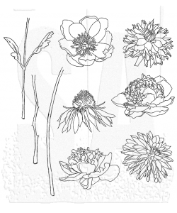 STAMPERS ANONYMOUS - Tim Holtz - FLOWER GARDEN STAMP SET