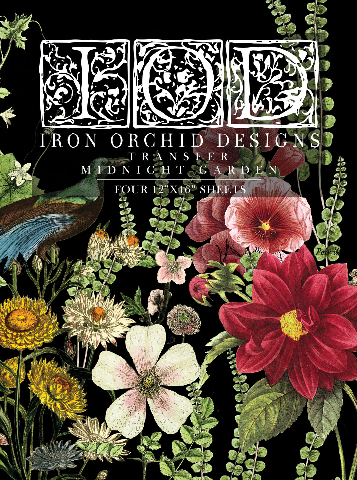 Iron Orchid Transfers and Decals