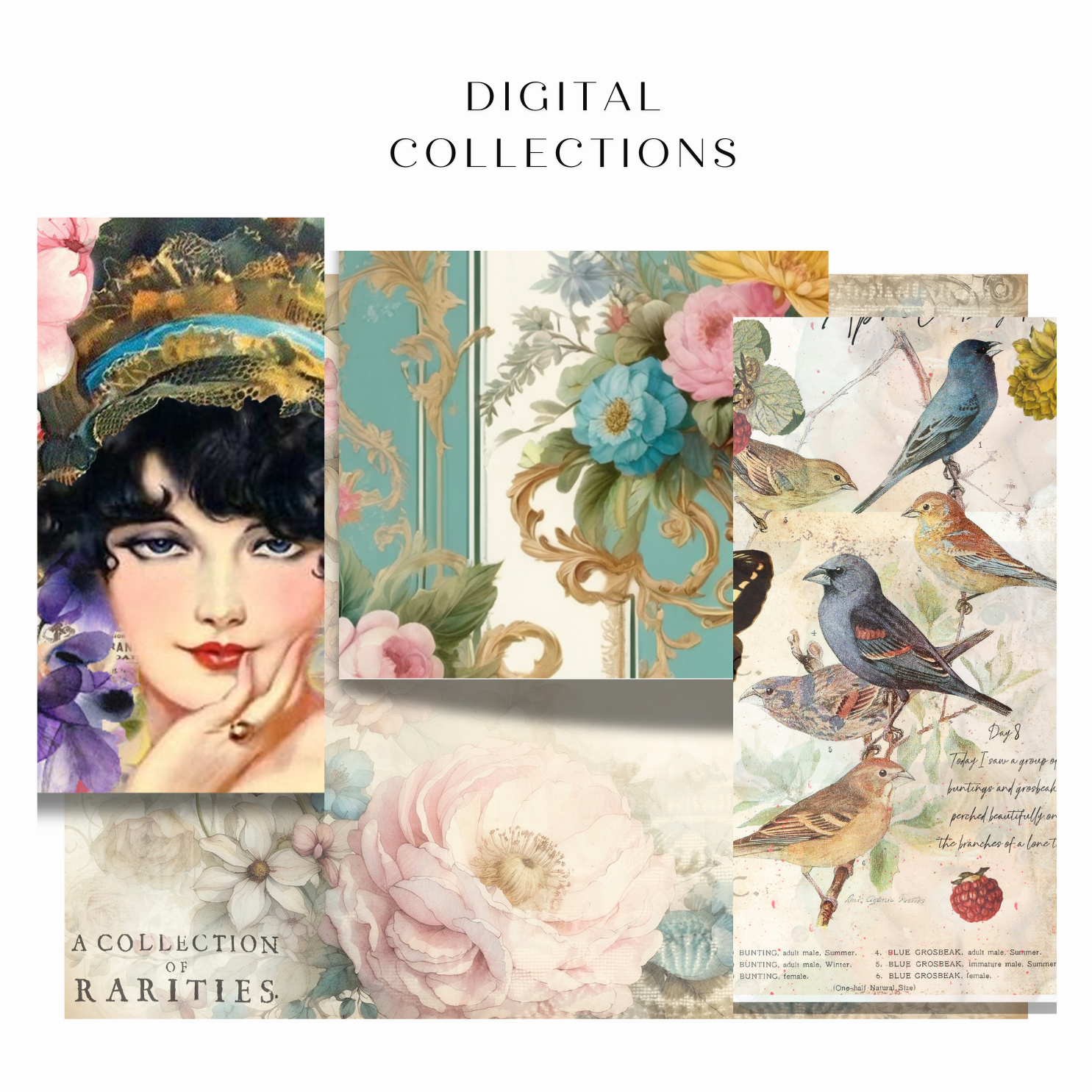Digital Collections