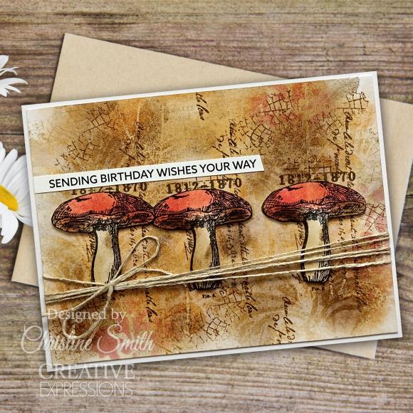 Creative Expressions - Clear Stamp Set - Sam Poole - Snippets of Nature