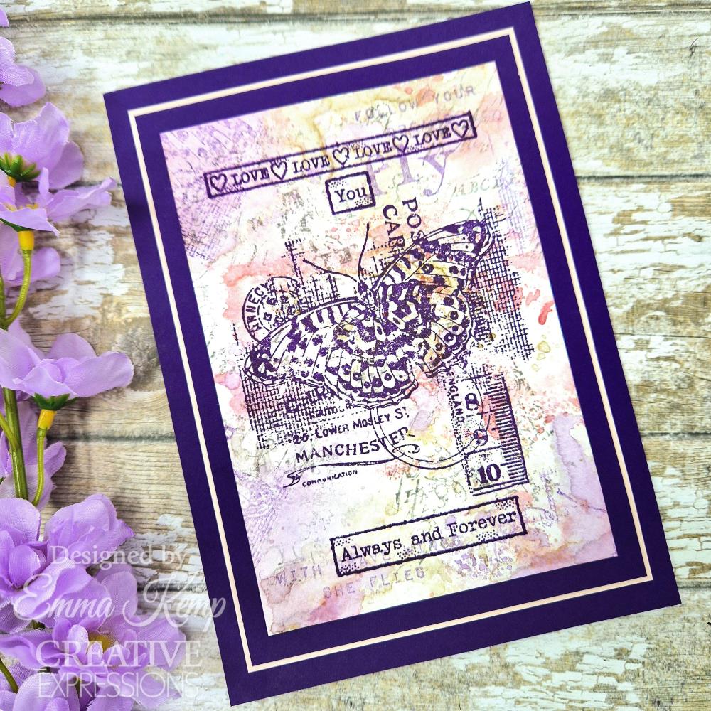 Creative Expressions Clear Stamp Set 4"X6" By Sam Poole - Fly