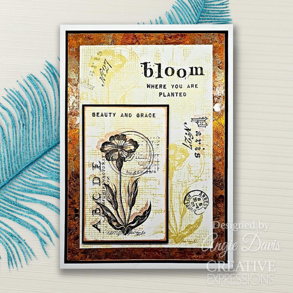 Creative Expressions Clear Stamp Set 4"x 6" By Sam Poole - Bloom