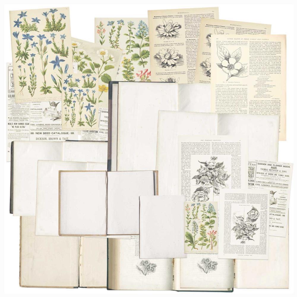 49 And Market Curators Essential Bookplates