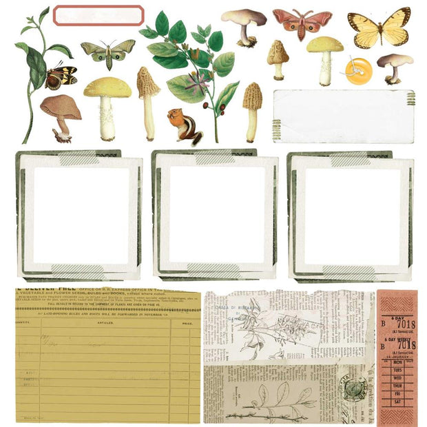 49 And Market Collection Pack 12"X12" - Meadow