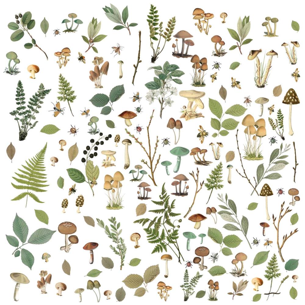 49 & Market Nature Study Laser Cut Outs - Mushrooms & Foliage