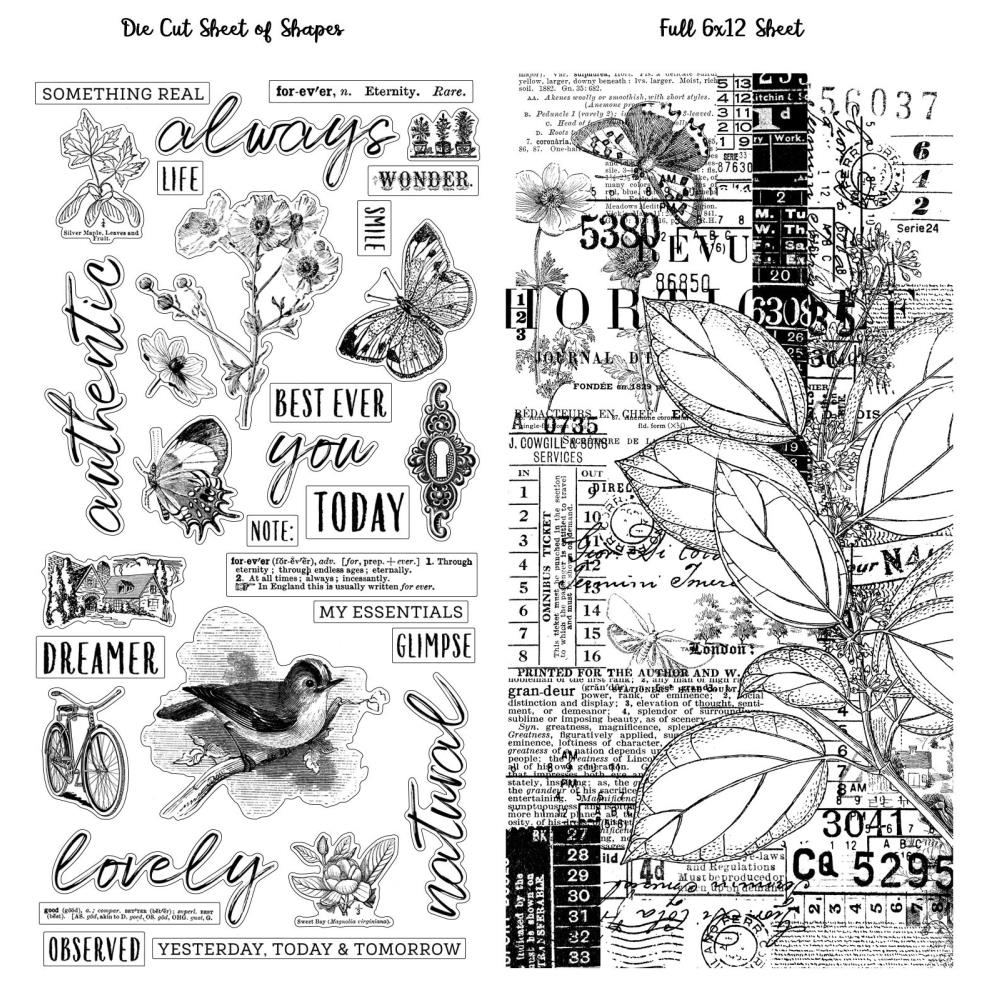 49 And Market Washi Tape - Vintage Artistry