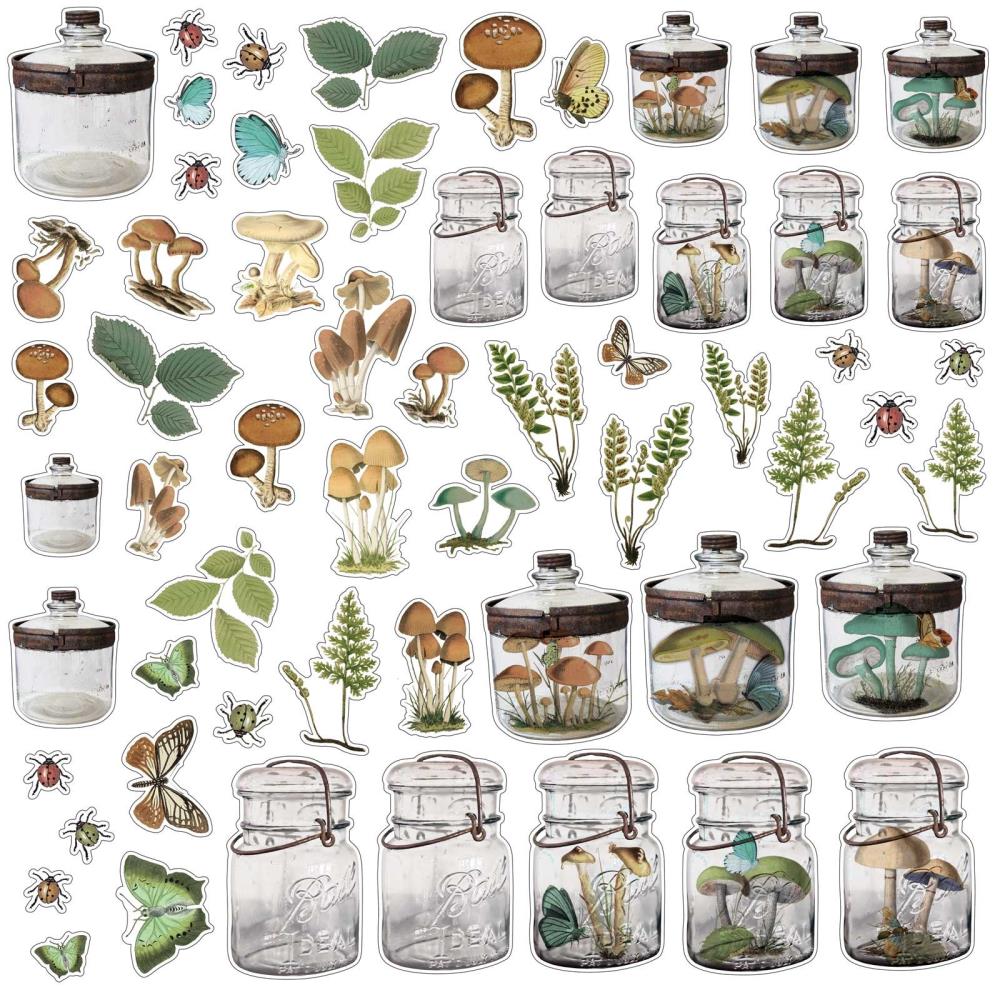 49 & Market Nature Study Acetate Shapes