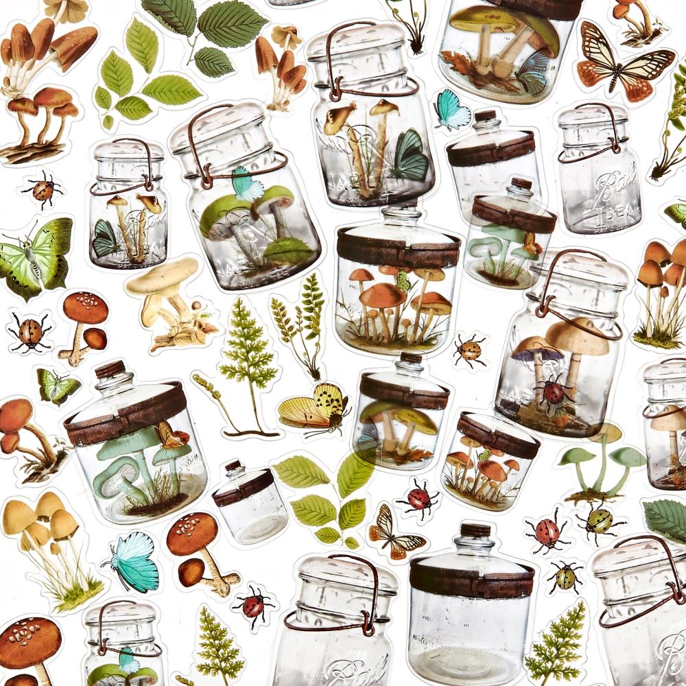 49 & Market Nature Study Acetate Shapes