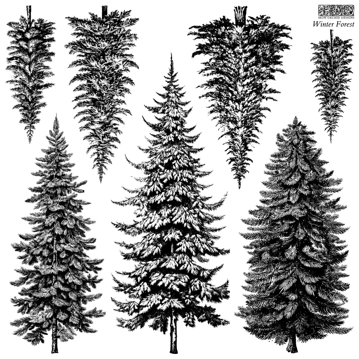 NEW! Winter Forest 12x12 IOD Stamp™