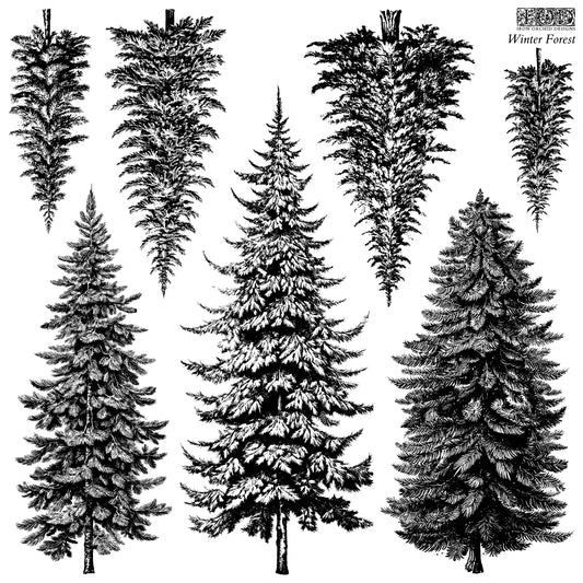 NEW! Winter Forest 12x12 IOD Stamp™