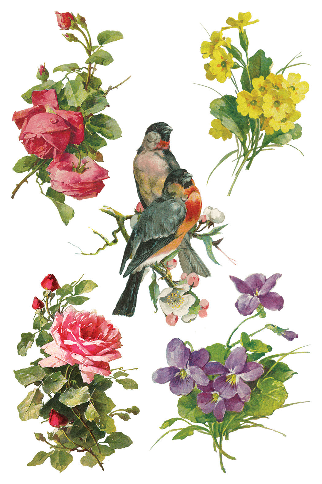Iron Orchid Designs - Catharina Transfer 8x12
