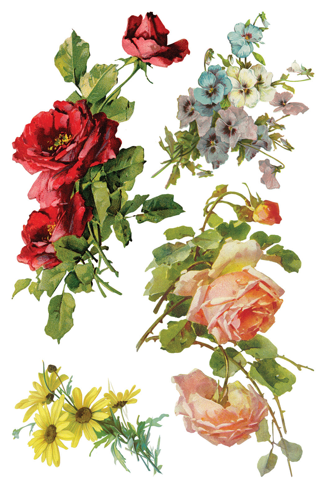 Iron Orchid Designs - Catharina Transfer 8x12