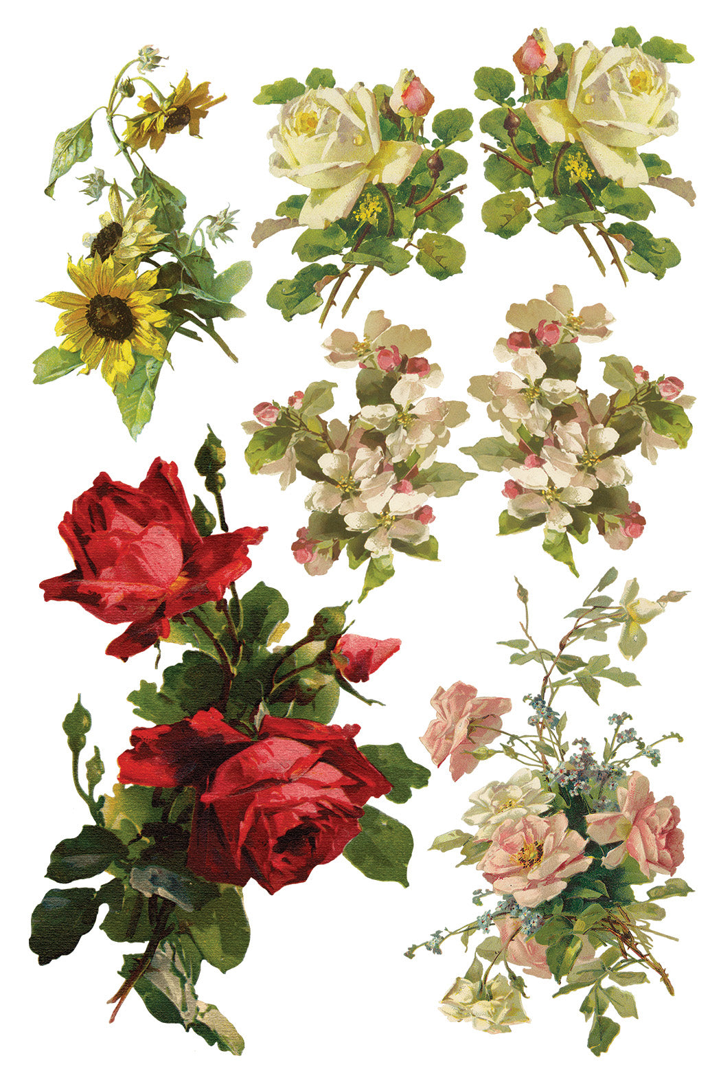 Iron Orchid Designs - Catharina Transfer 8x12