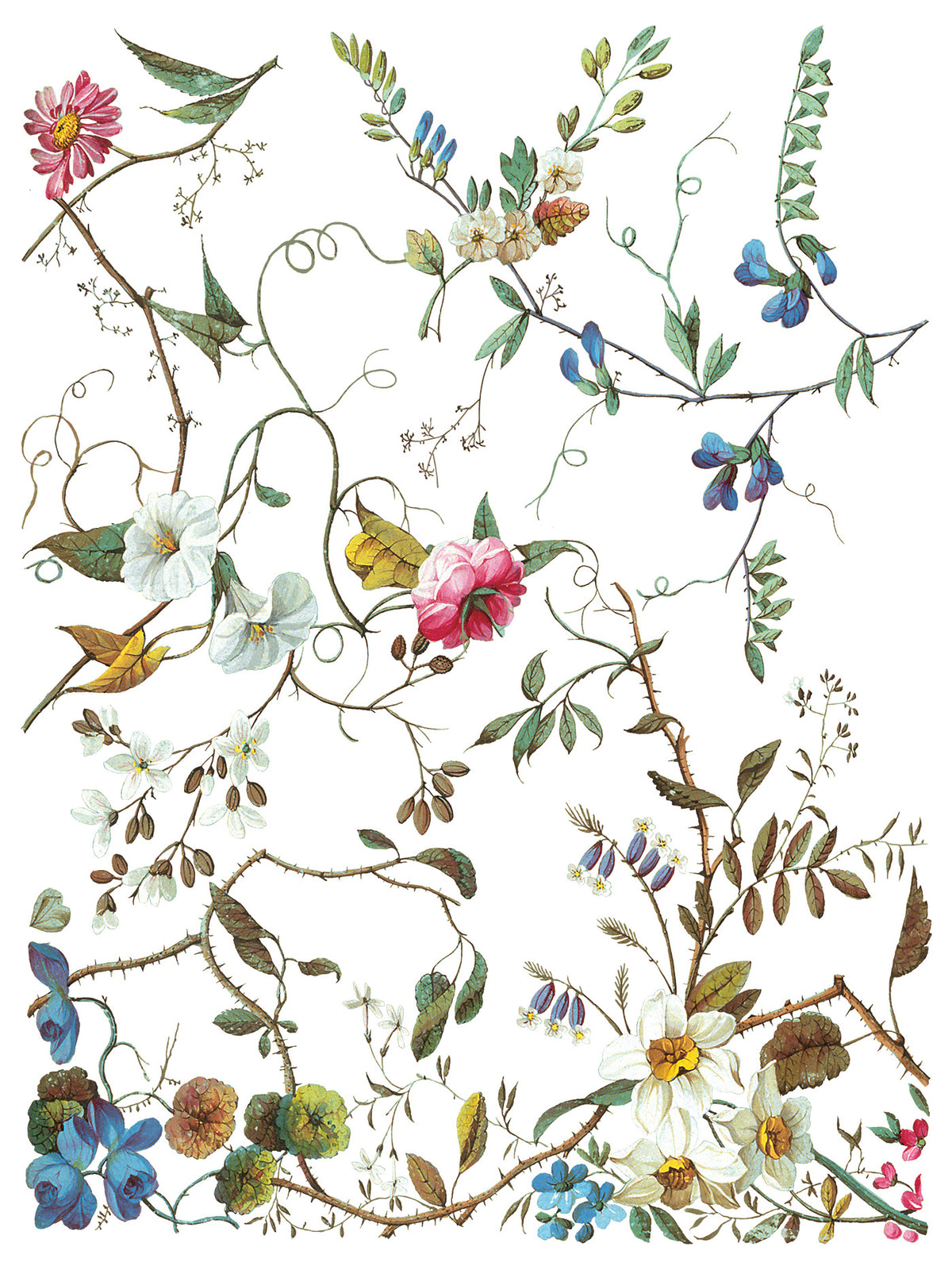 Iron Orchid Designs - Lost Garden Transer - 12x16