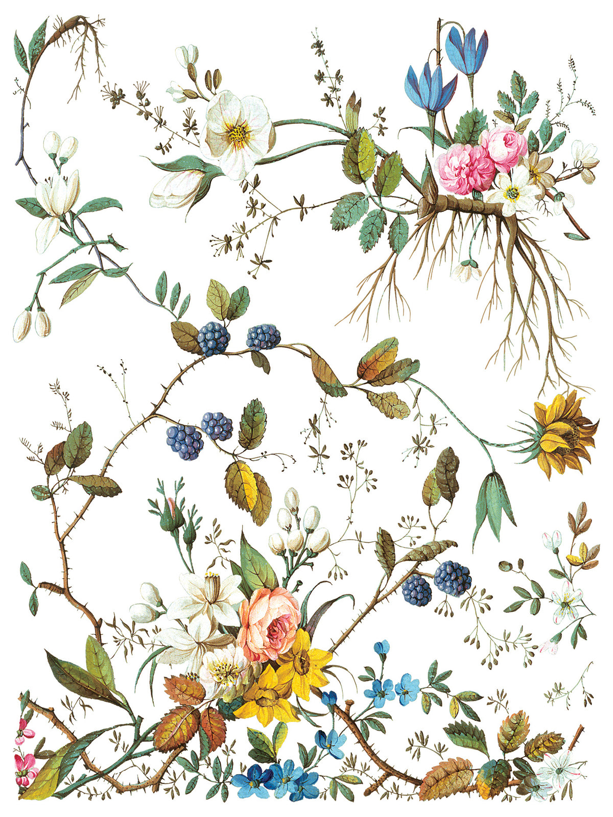 Iron Orchid Designs - Lost Garden Transer - 12x16