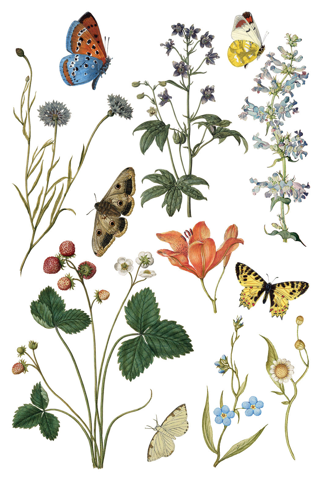 Iron Orchid Designs - Wilde Bloeman Transfer 8x12