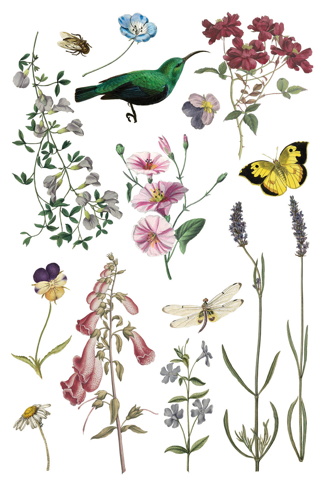 Iron Orchid Designs - Wilde Bloeman Transfer 8x12