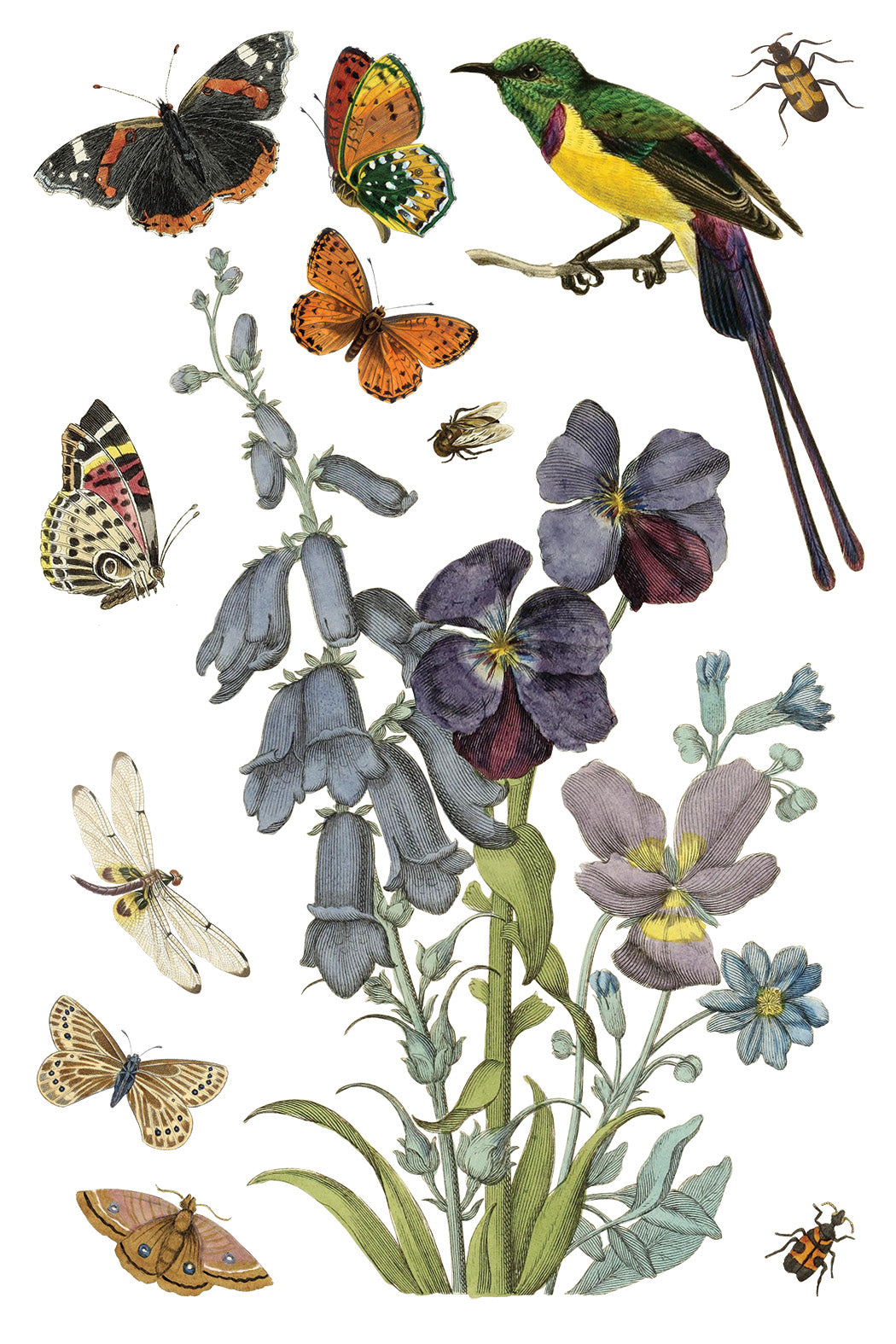 Iron Orchid Designs - Wilde Bloeman Transfer 8x12
