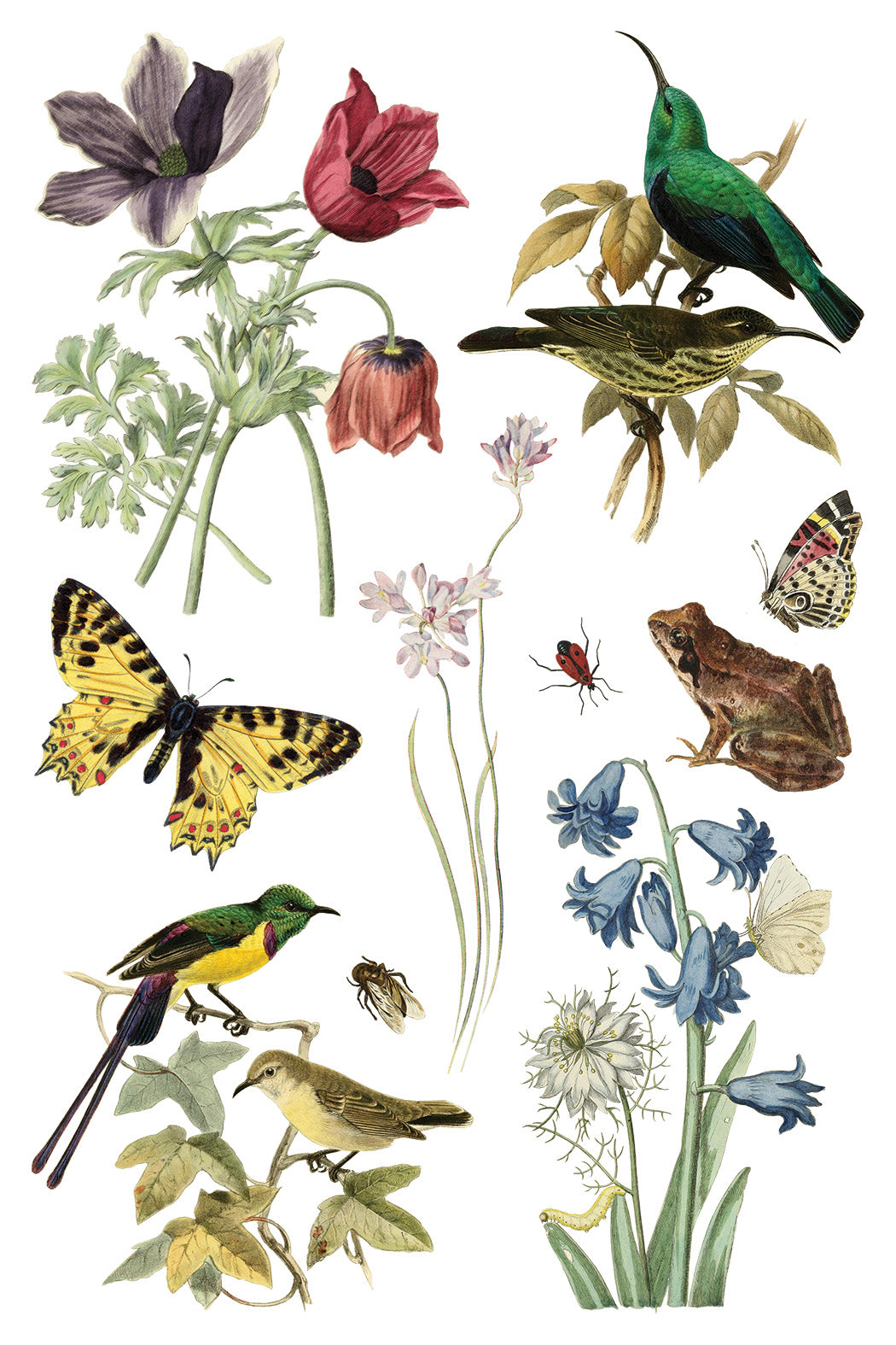 Iron Orchid Designs - Wilde Bloeman Transfer 8x12