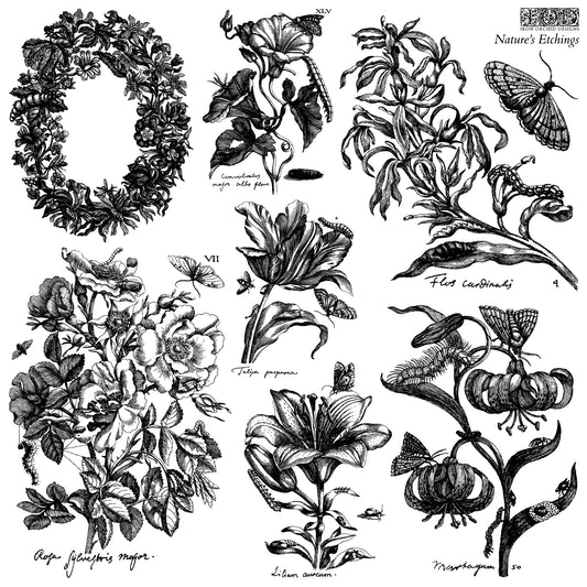 Iron Orchid Designs - Nature's Etchings 12x12 Stamp - 2 Sheets