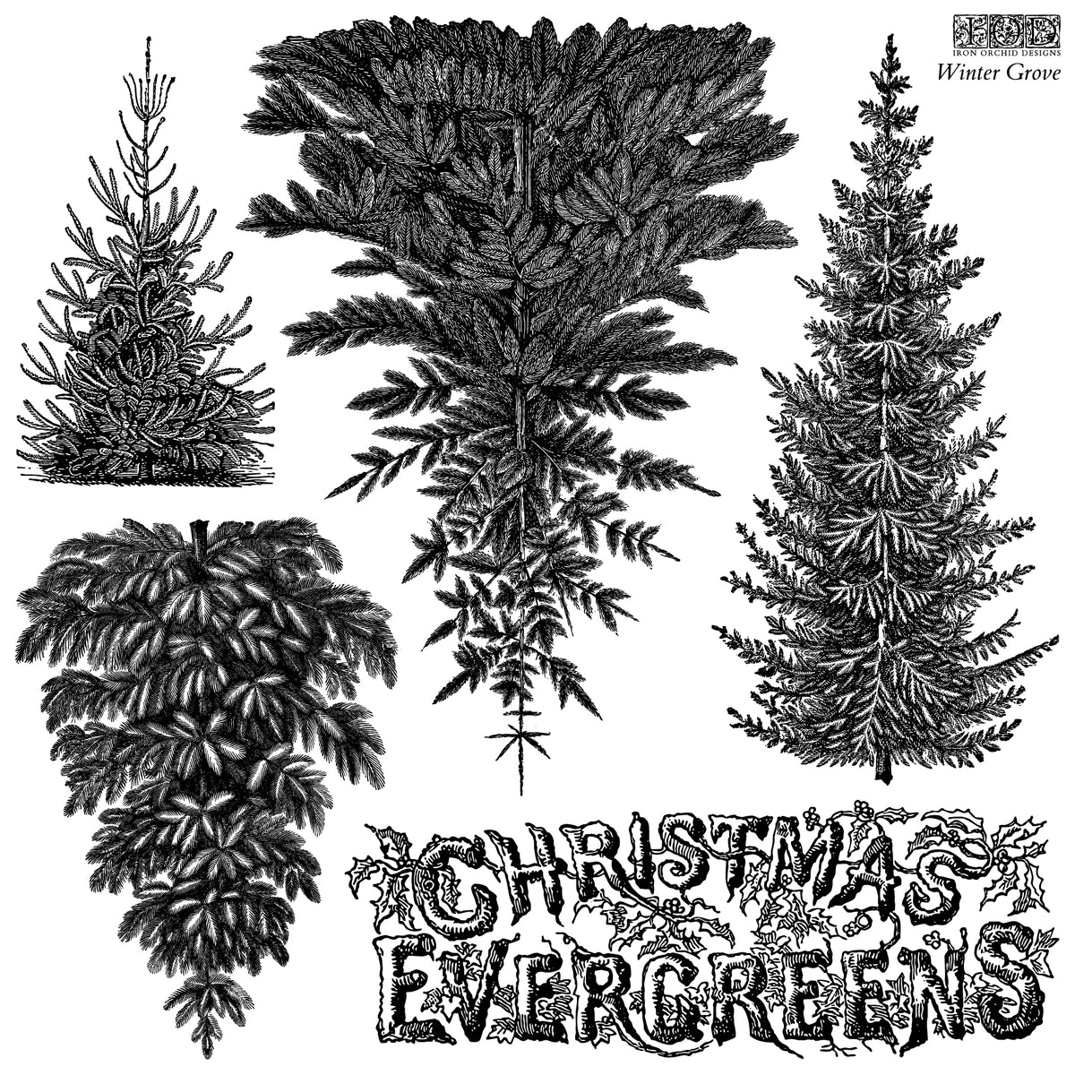 Winter Grove - 12x12 IOD Stamp - Iron Orchid Designs - LIMITED EDITION