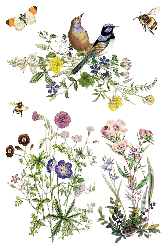 Flora Greca IOD Transfer 8x12 Pad™
