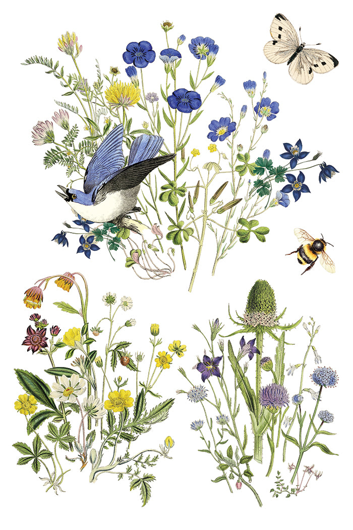 Flora Greca IOD Transfer 8x12 Pad™