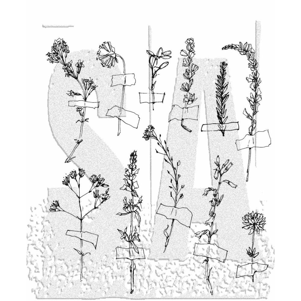 Stampers Anonymous - Tim Holtz Cling Rubber Stamp - Forgotten Garden
