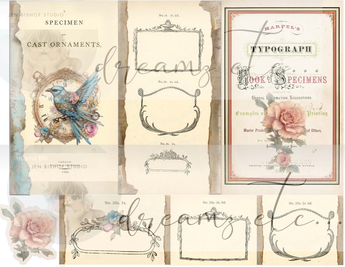 Steampunk Specimen Digital Collection