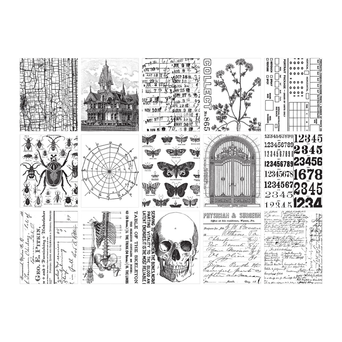 Tim Holtz Idea-ology Collage Paper - Halloween