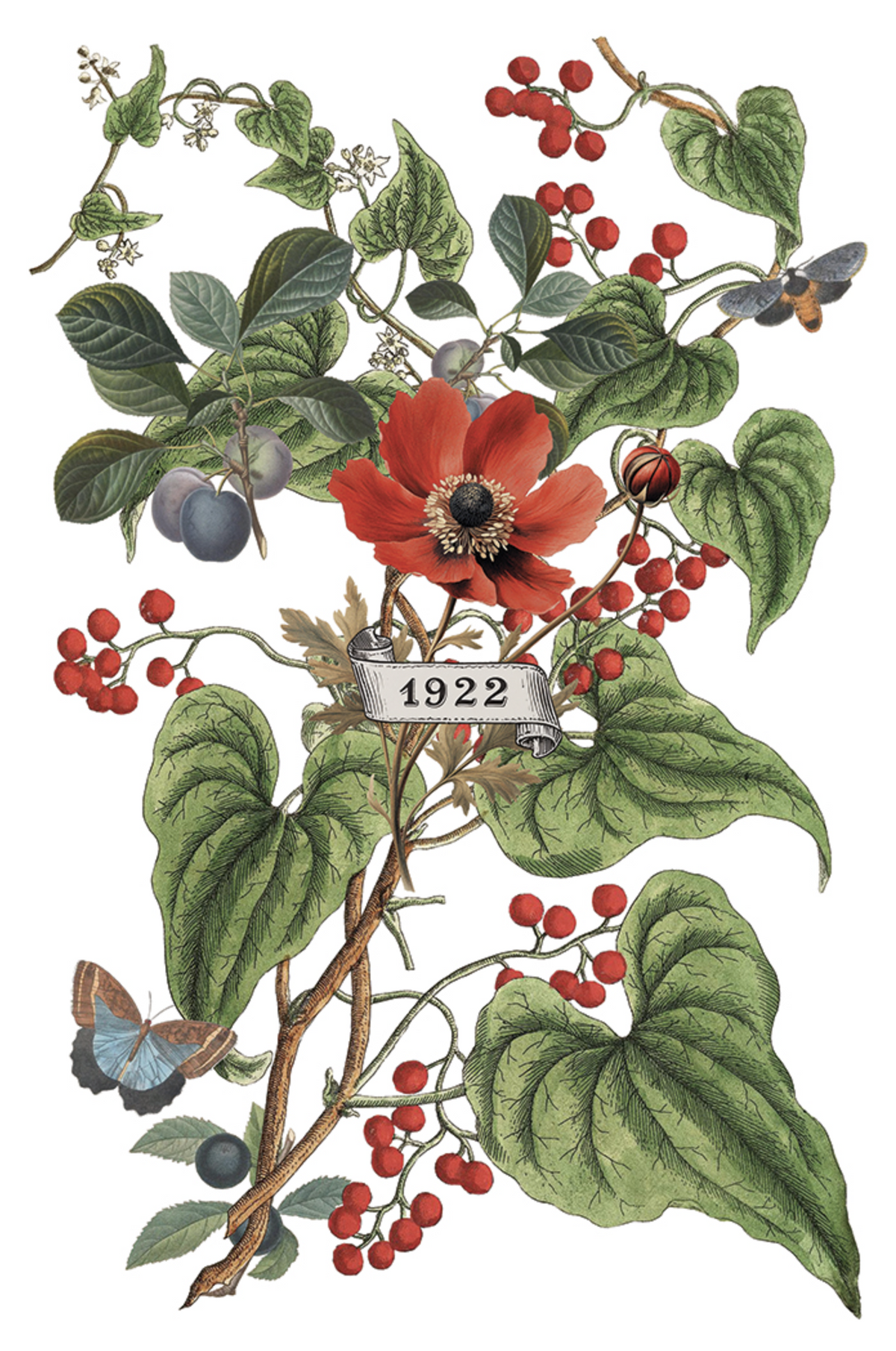 Clemintine IOD Transfer 8x12 Pad™