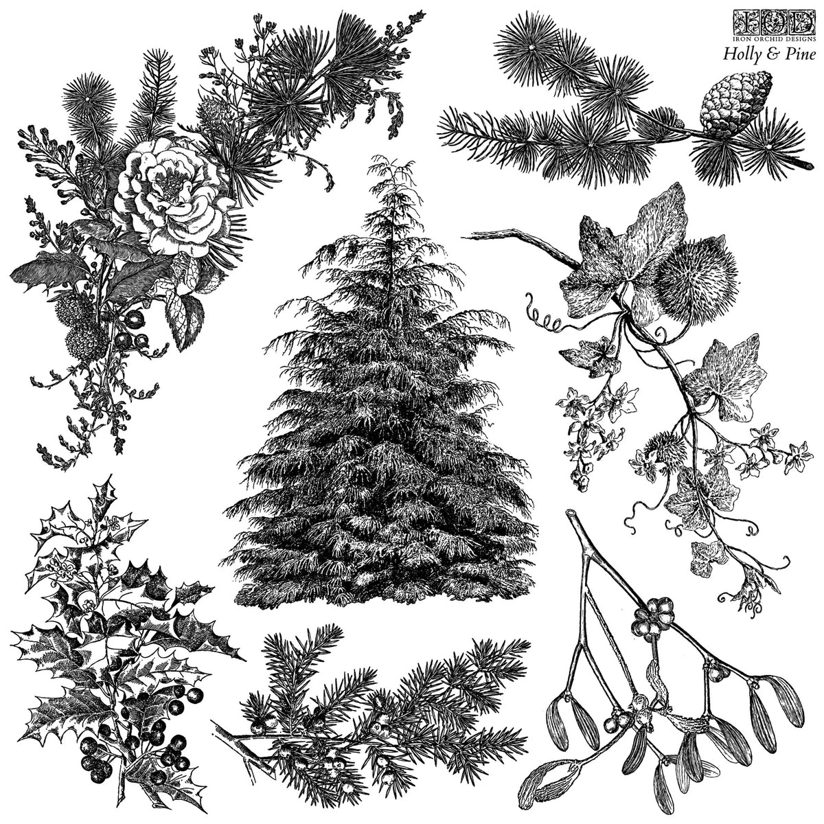 Holly & Pine - 12x12 IOD Stamp - Iron Orchid Designs