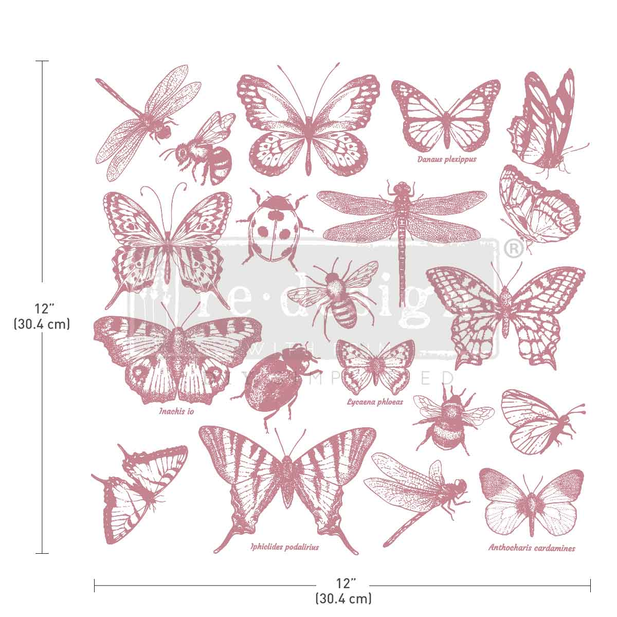 Redesign by Prima - Decor Stamp - Monarch