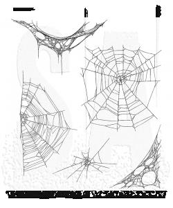 Tim Holtz - Stampers Anonymous - Cling Mount Stamp - Tangled Webs