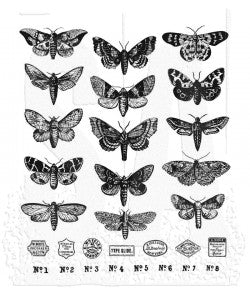 Tim Holtz - Stampers Anonymous - Moth Study - Cling Mount Stamp