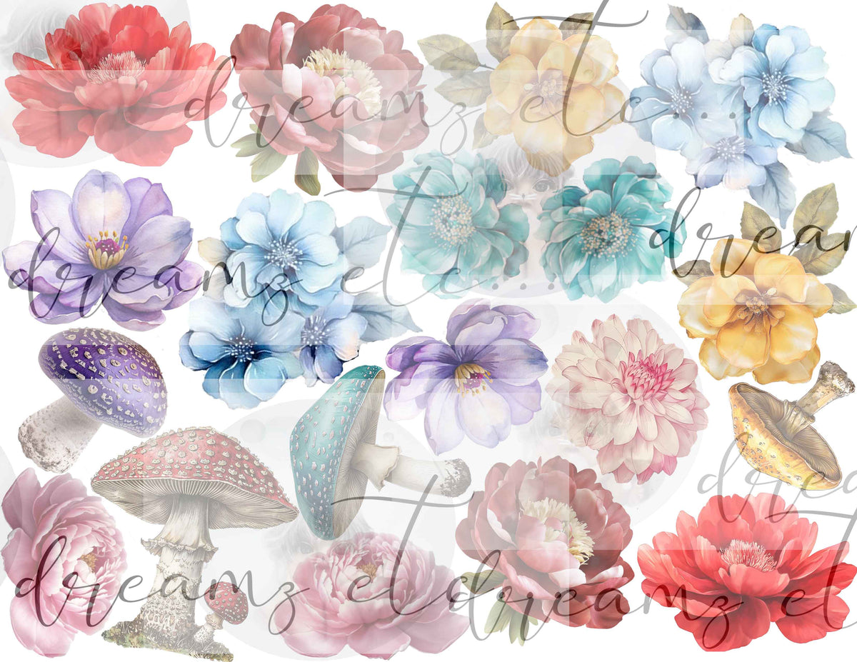 Wonderland Digital Collection - Bundle