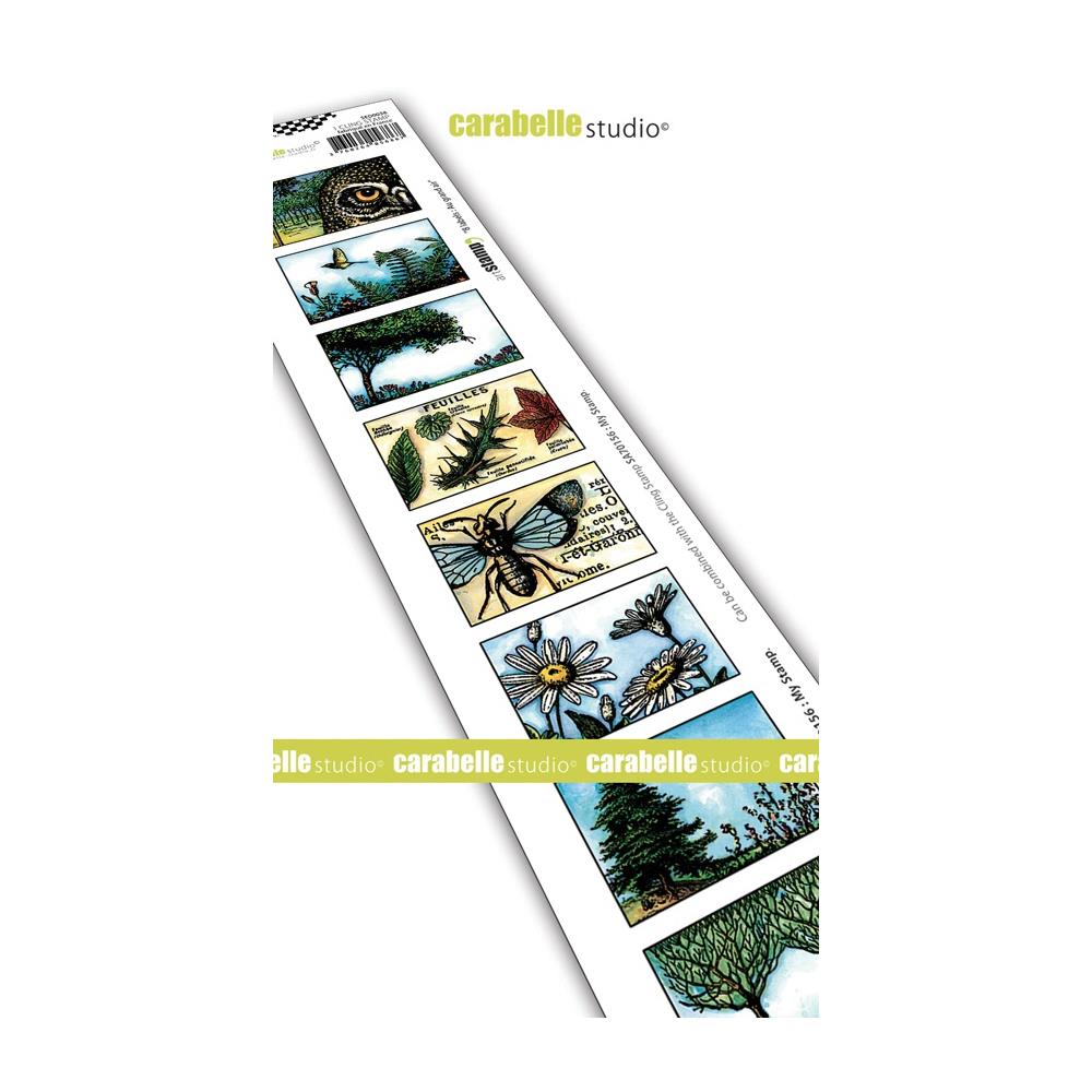 Carabelle Studio Cling Stamp Edge 2"X11.5" Au Grand Air *