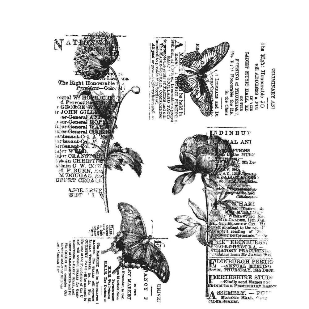 Botanic Collage Stamp Set - Tim Holtz - Stampers Anonymous