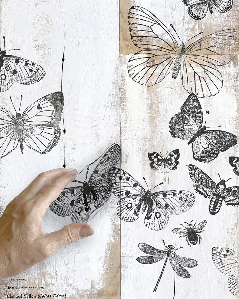 Iron Orchid  Décor Stamp Set - 12x12 - Butterflies