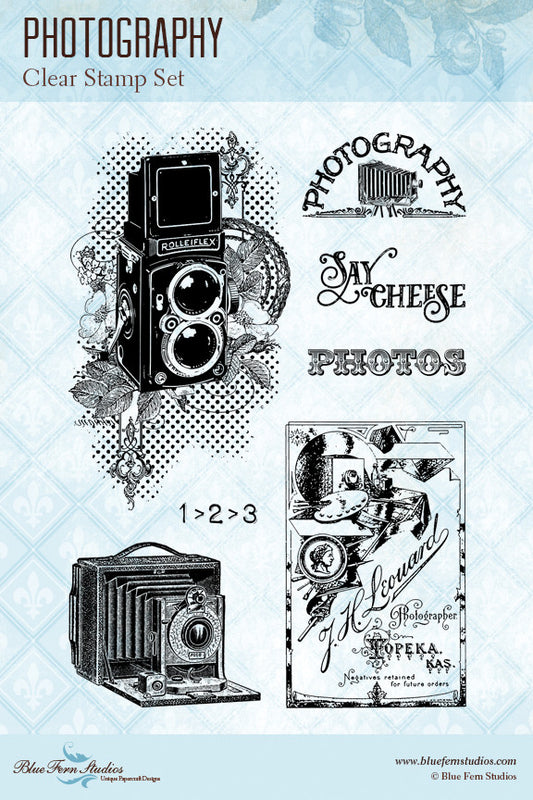 Blue Fern Stamp - Photography *