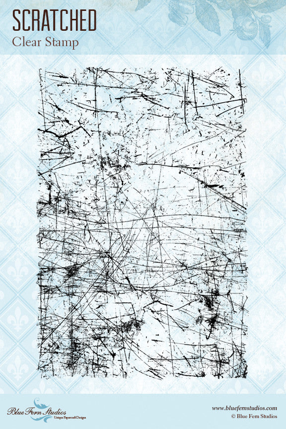 Blue Fern Stamp - Scratched Stamp Set *