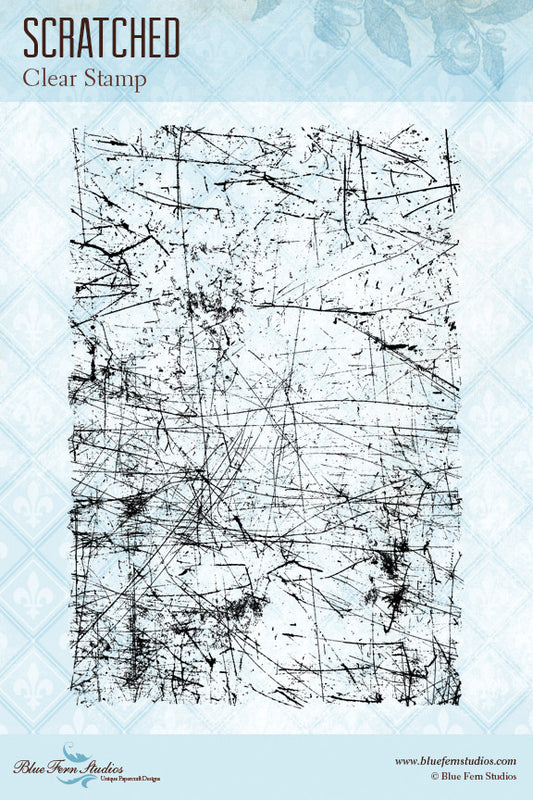 Blue Fern Stamp - Scratched Stamp Set *