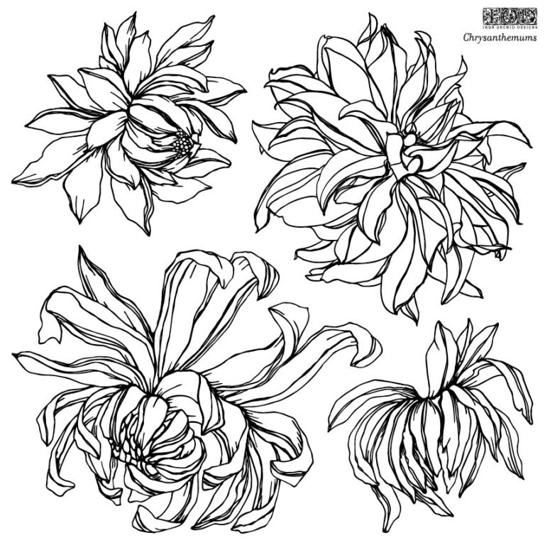 Iron Orchid  Décor Stamp Set - 12x12 - Chrysanthemum